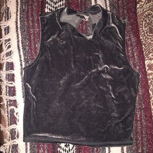 Velvet Crop Top